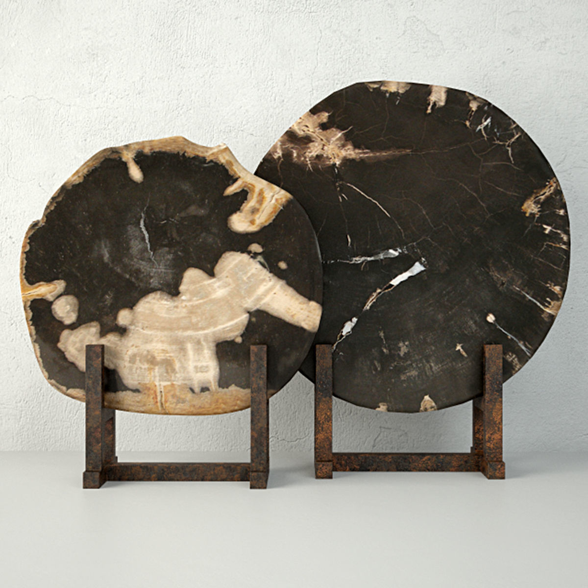Black Petrified Wood Slices 3D model_1