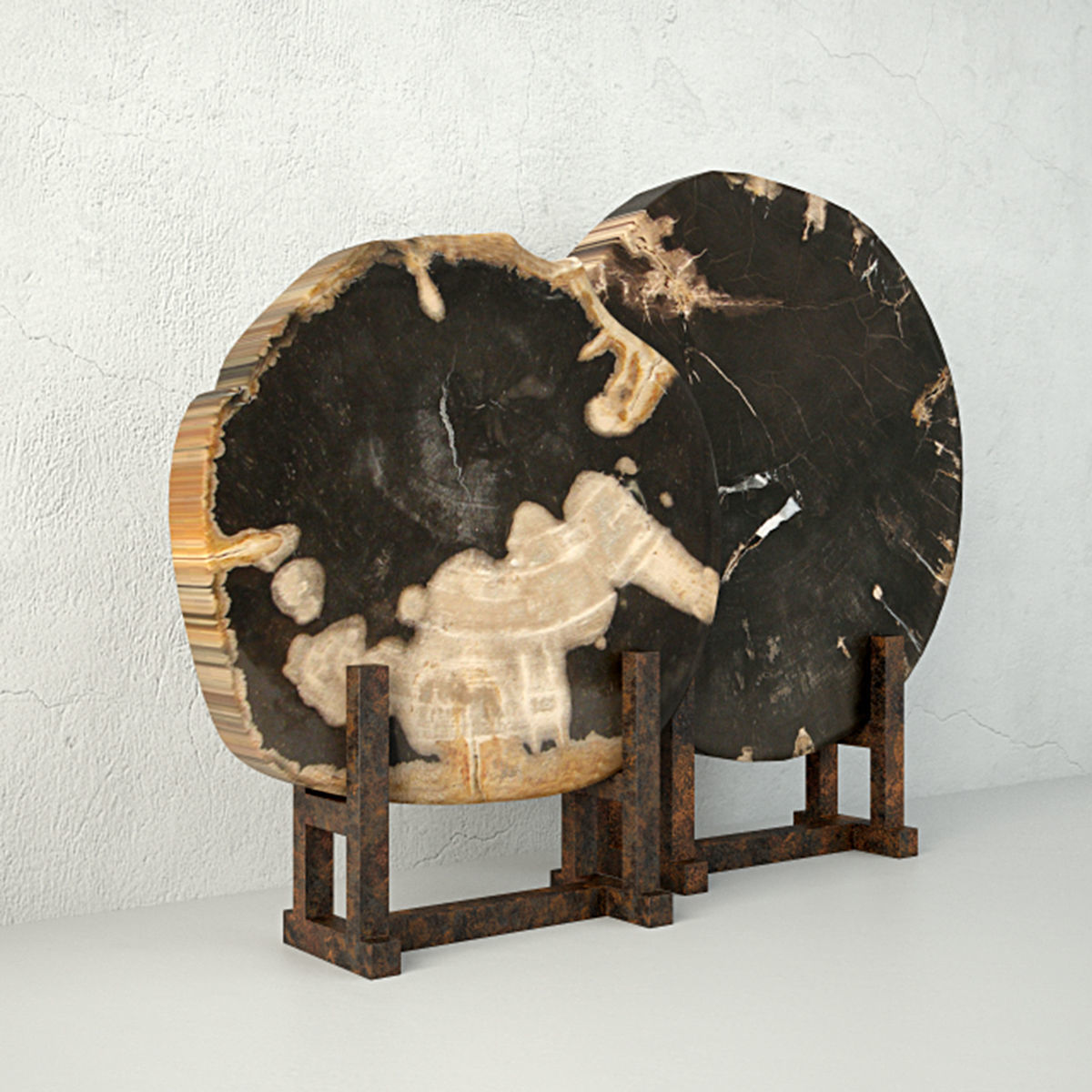 Black Petrified Wood Slices 3D model_3