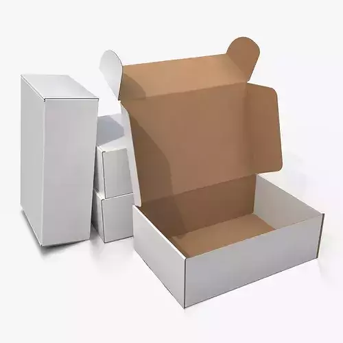 Mailer Box - Regular White