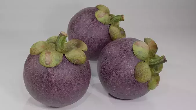 Realistic Mangosteen Whole and Cut 3D Model PBR Asset Low-poly 3D model 7