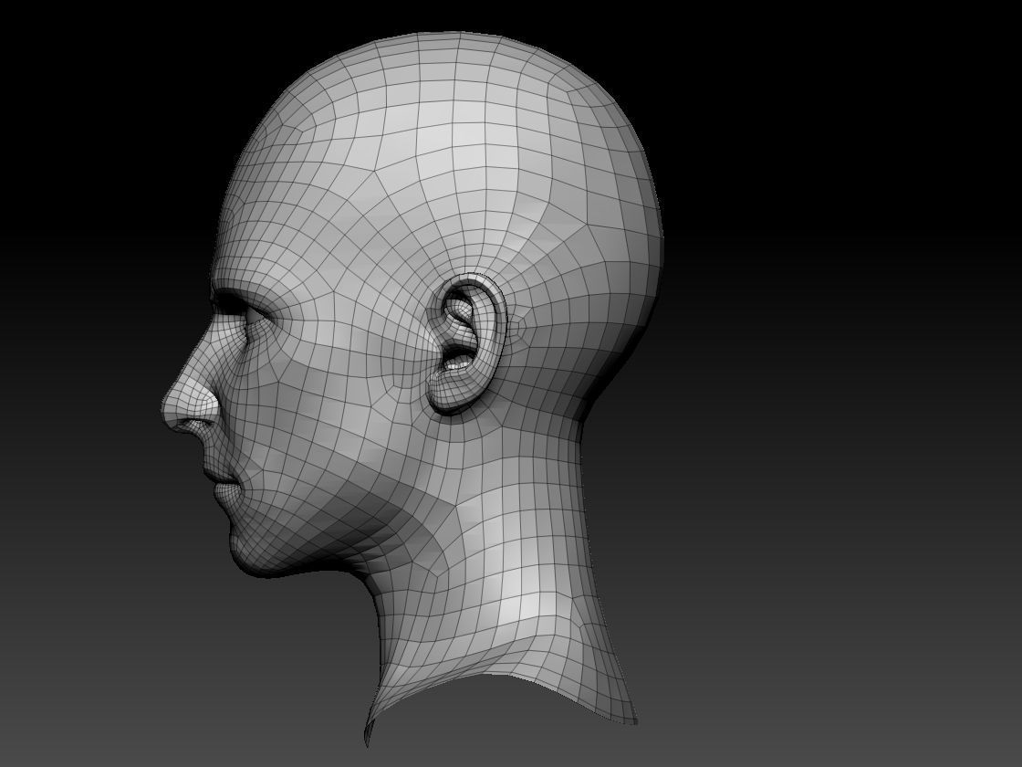 Male Head  3D model_1