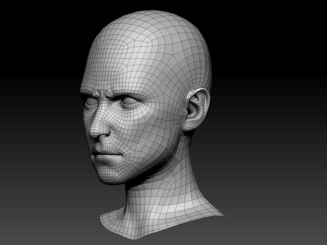 Male Head  3D model_3