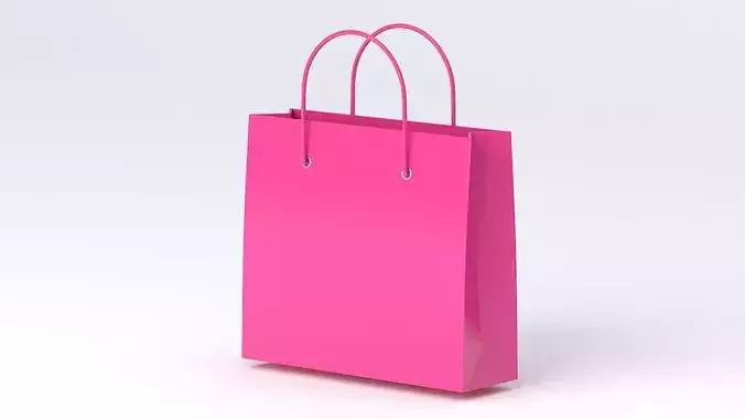 Pink Pepper Bag 3D model 4