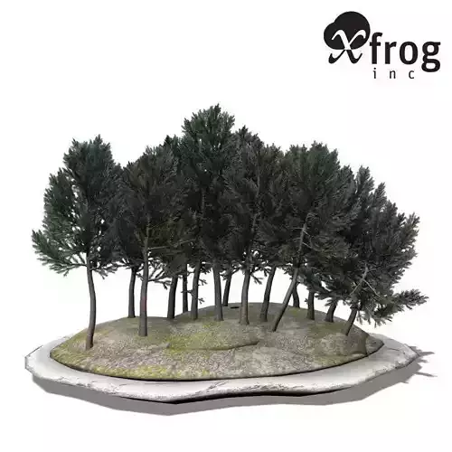 XfrogPlants White Spruce - Bonsai