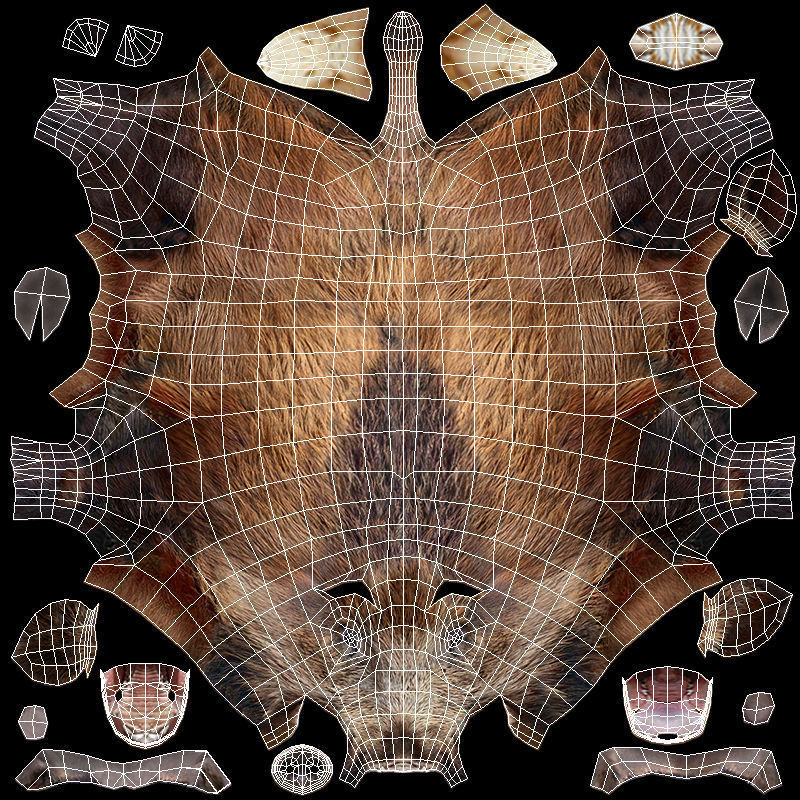 Wild boar Animated Low-poly 3D model_13