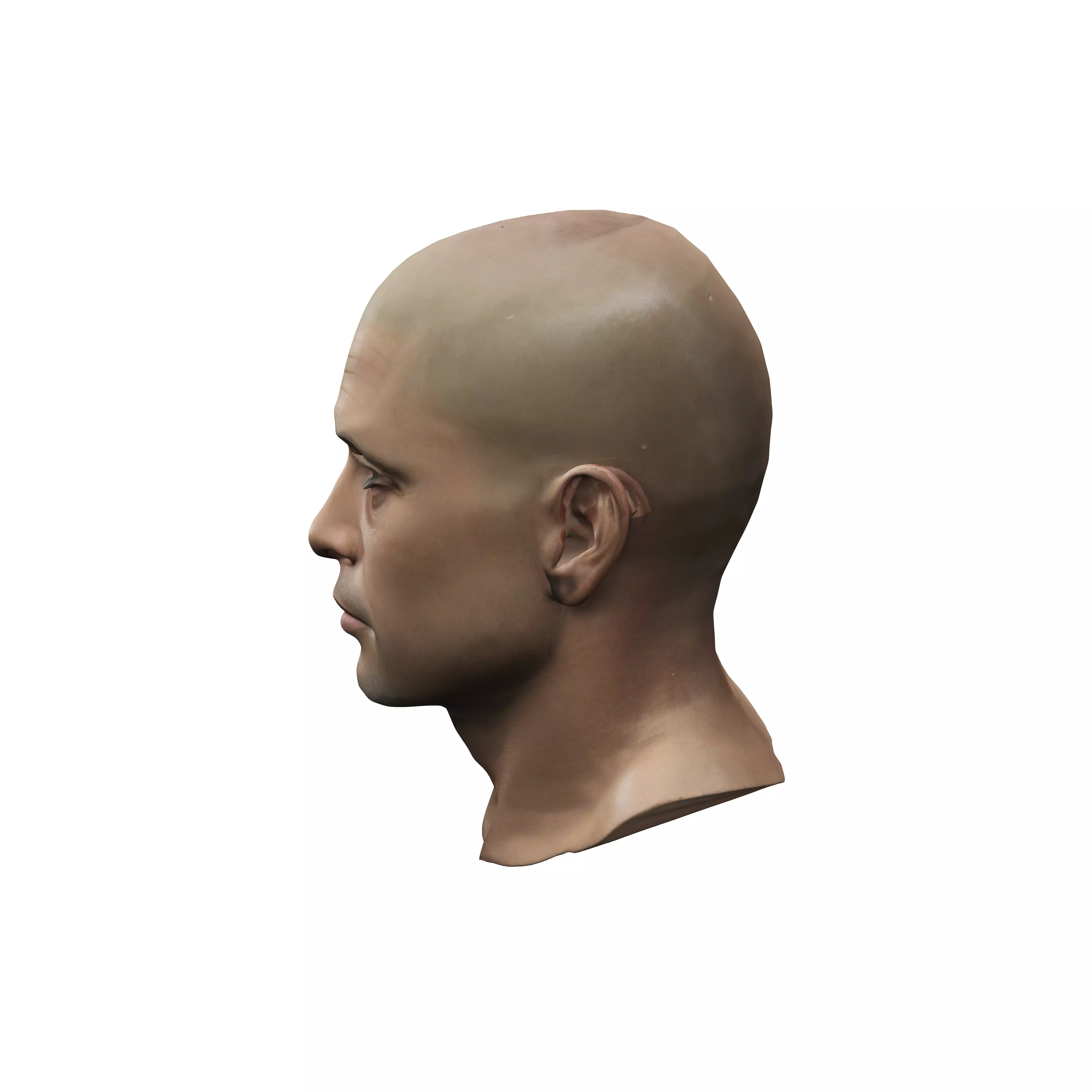 Highly detailled man head with no hair looking as brad pitt 3D model