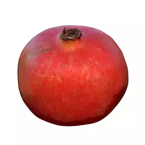 Pomegranate RAW and Decimated 3D Scan KA-03 
