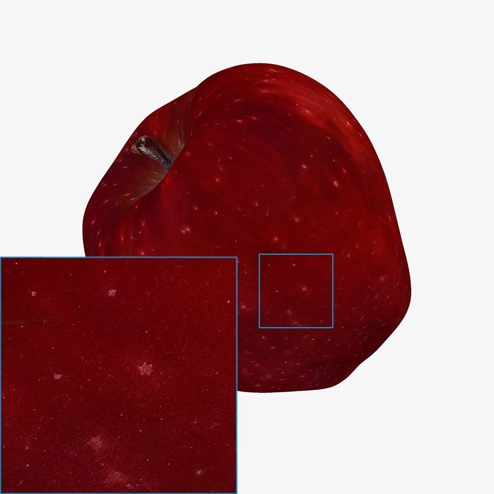 Red Apple Game Ready 3D Model Cross-Polarized Scan 16k Texture 3D model_7
