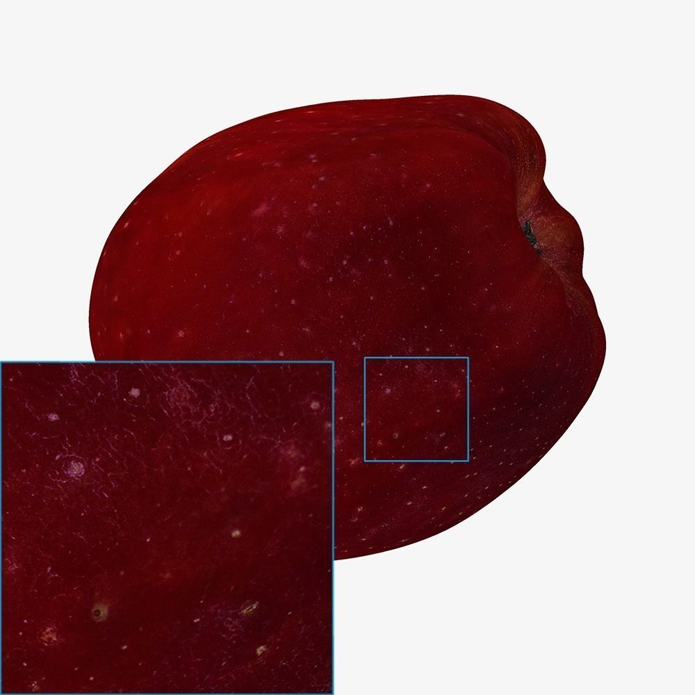 Red Apple Game Ready 3D Model Cross-Polarized Scan 16k Texture 3D model_13