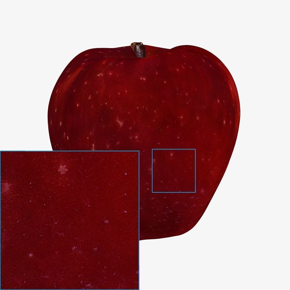 Red Apple Game Ready 3D Model Cross-Polarized Scan 16k Texture 3D model_10
