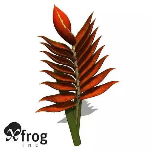 XfrogPlants Fire Bird 3D model