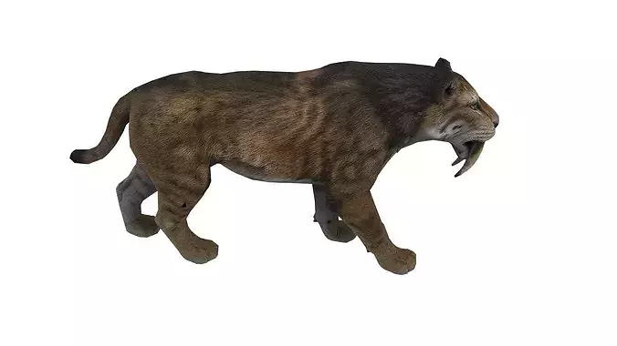 Saber-toothed tiger