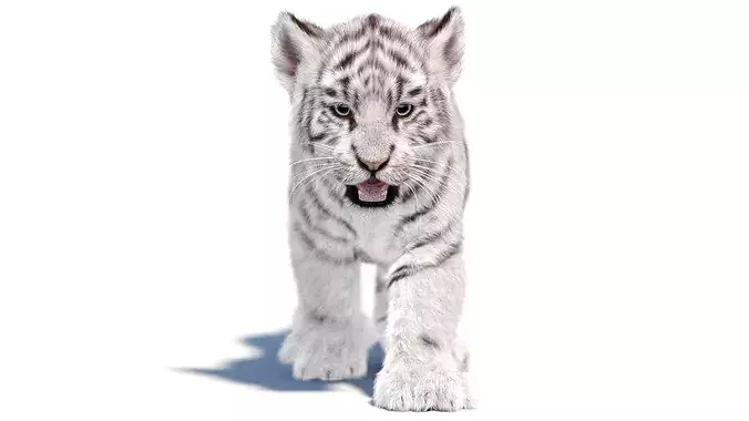 Animated White Tiger Cub Fur