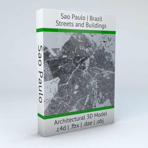 Sao Paulo Streets and Buildings 3D model