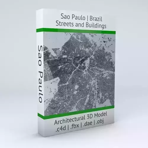 Sao Paulo Streets and Buildings 3D model