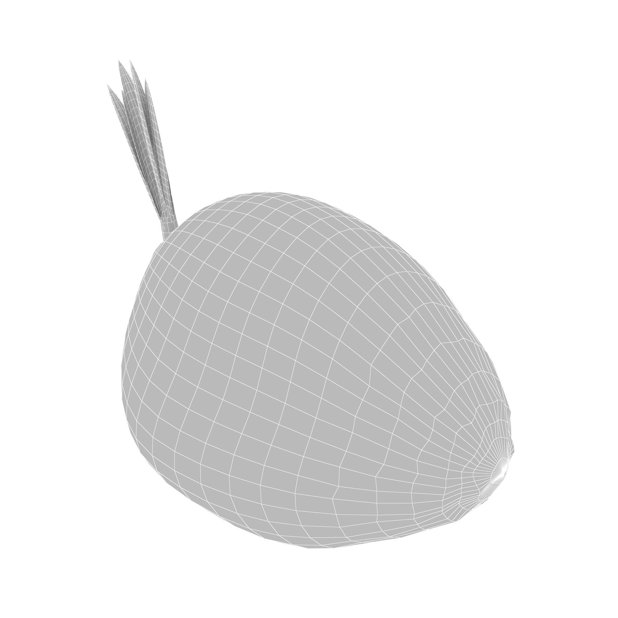Sprout of coconut  2 3D model_10