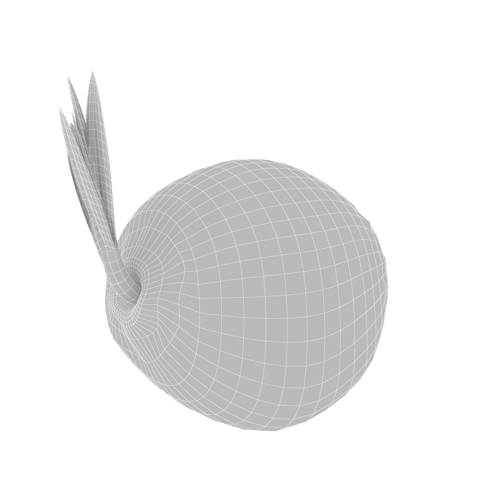 Sprout of coconut  2 3D model_9