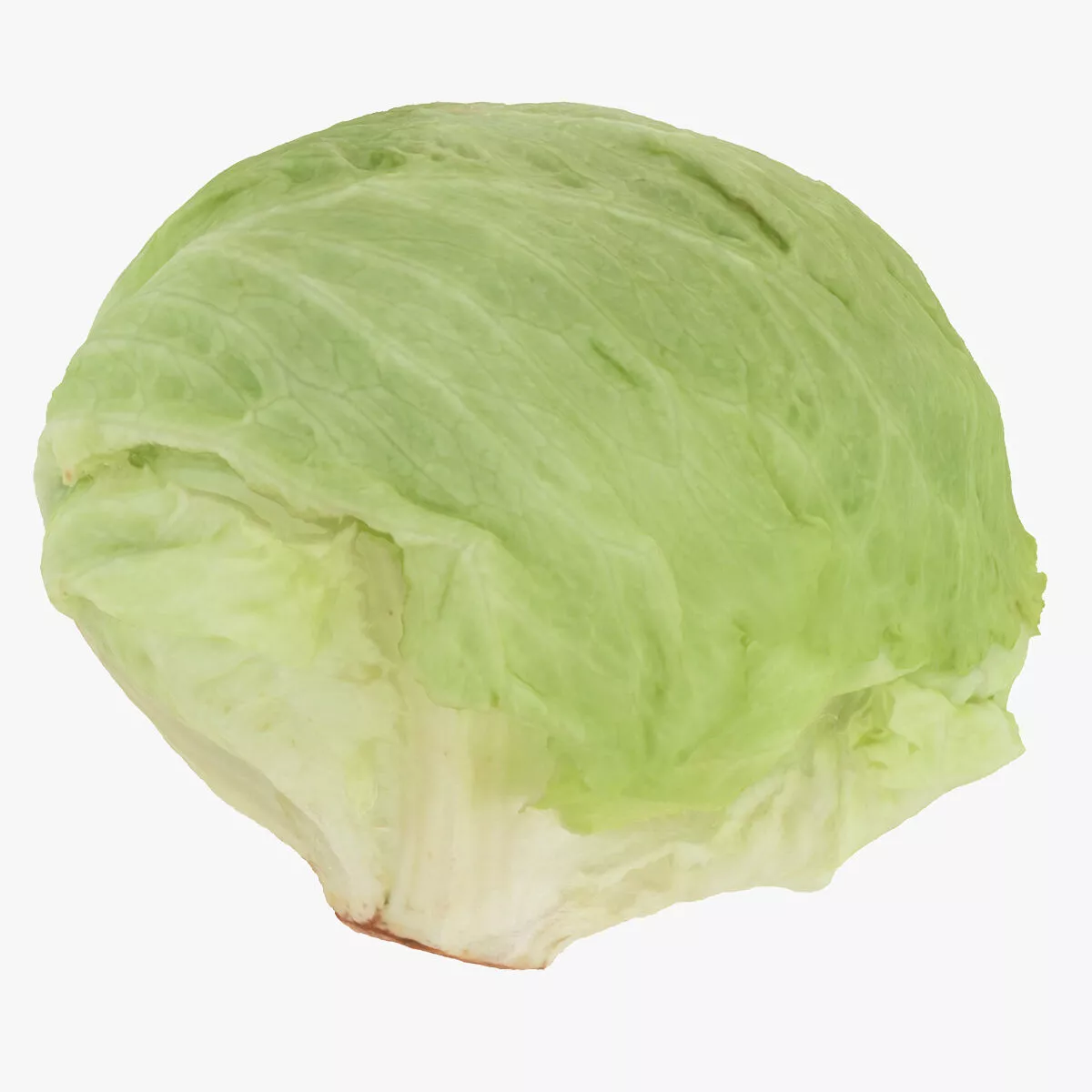 Lettuce 02 RAW Scan 3D model