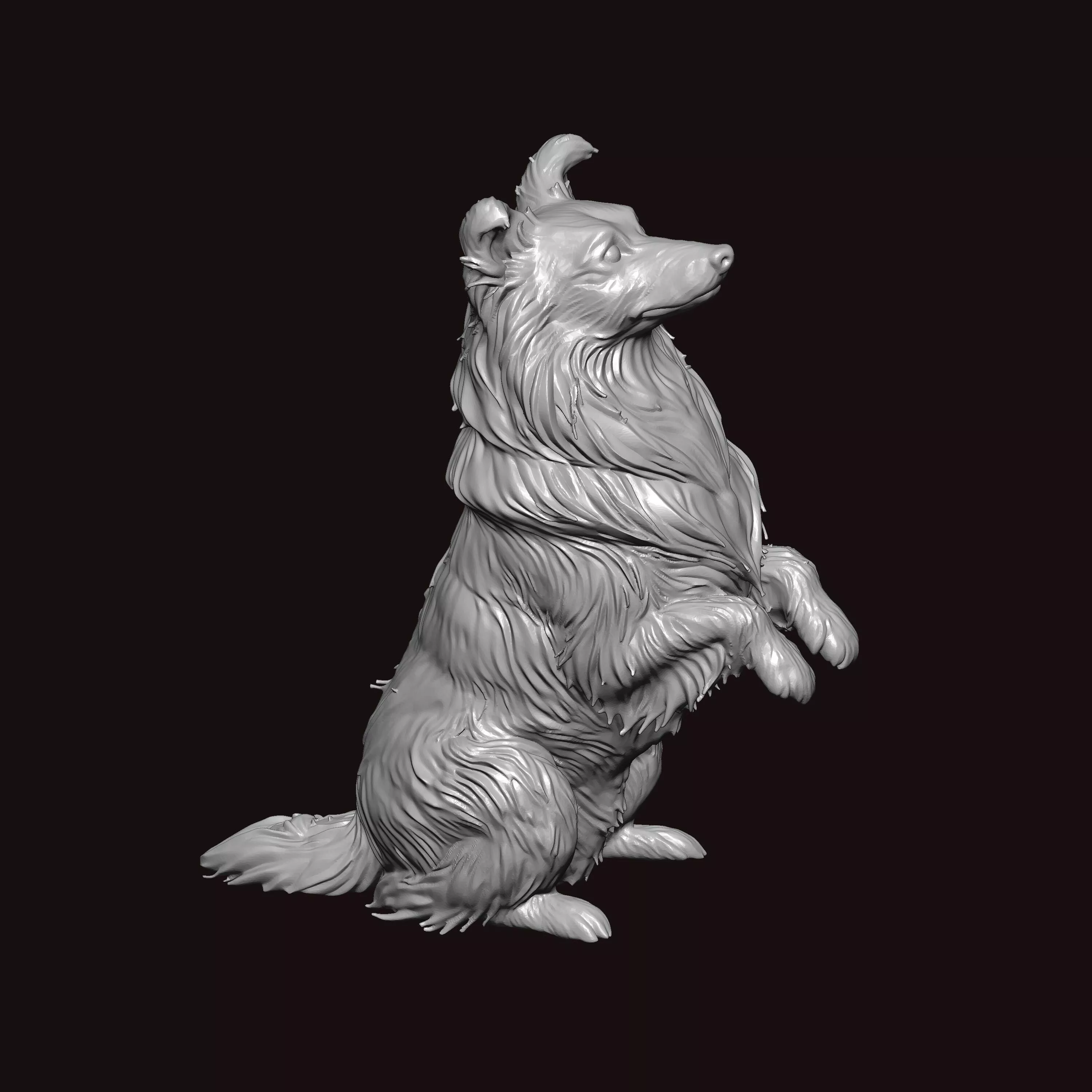 Sheltie Dog Begging Pose 3D print model