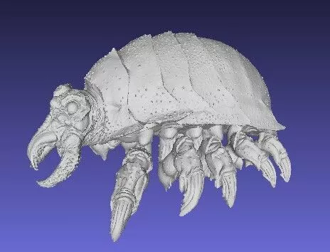 Pacific Rim Skin Mite UPDARED 3D model