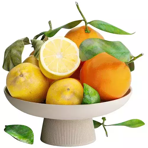bowl of yellow lemon and orange fruit 3D model 2