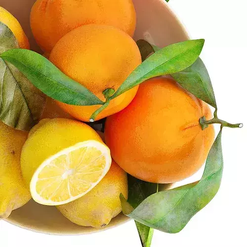 bowl of yellow lemon and orange fruit 3D model 4