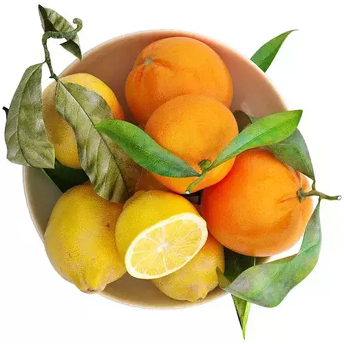 bowl of yellow lemon and orange fruit 3D model 3