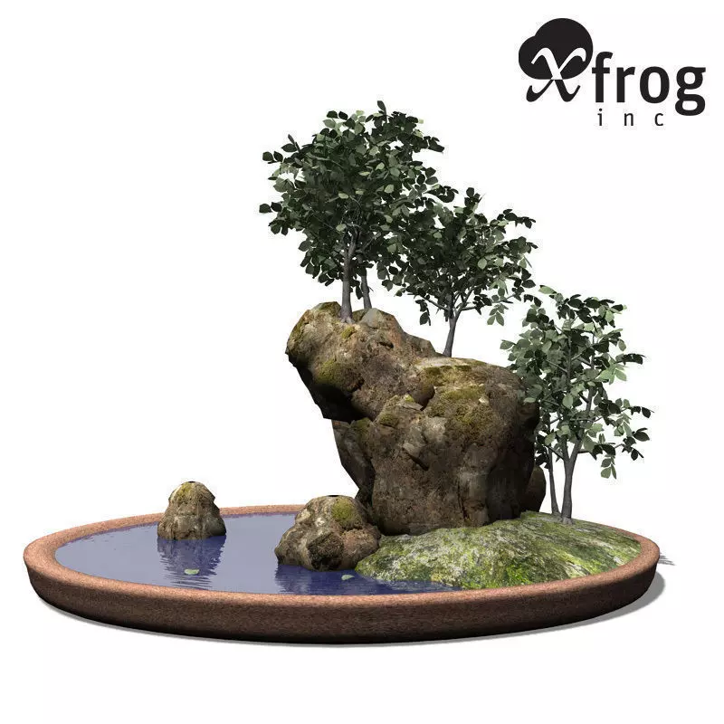 XfrogPlants Smooth leaved Elm - Bonsai 3D model