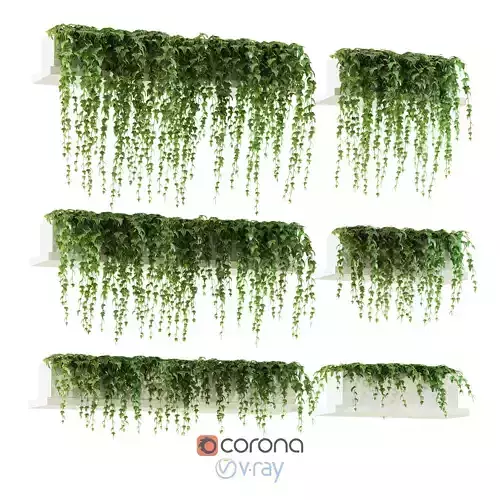 Ivy on the shelves 3D model