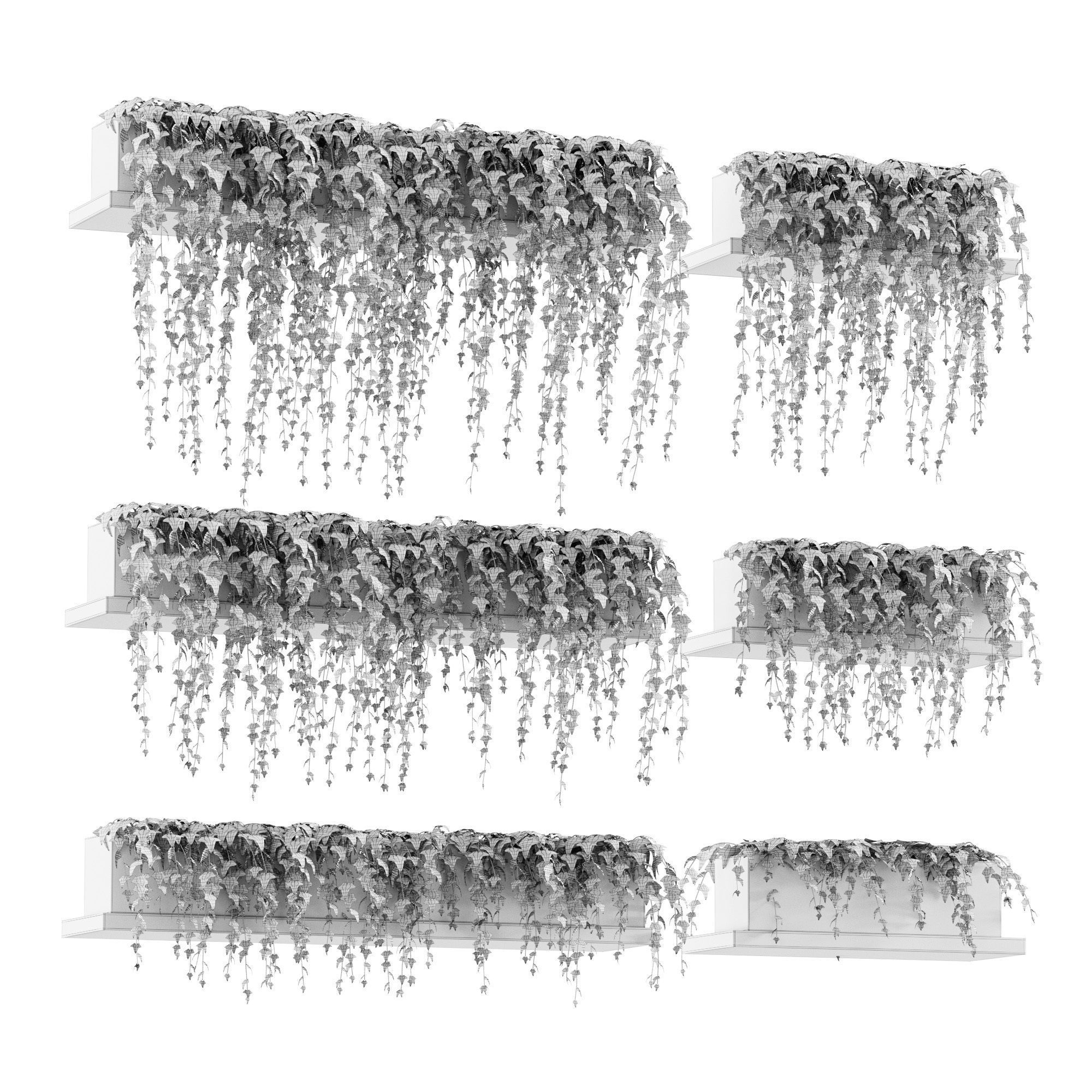 Ivy on the shelves 3D model_2