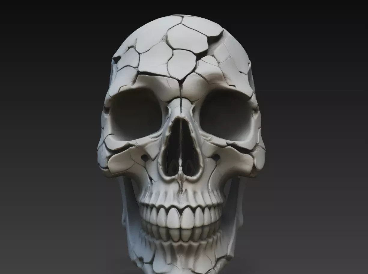 Broken Human Skull STL Gothic Anatomy Sculpture Model 3D print model