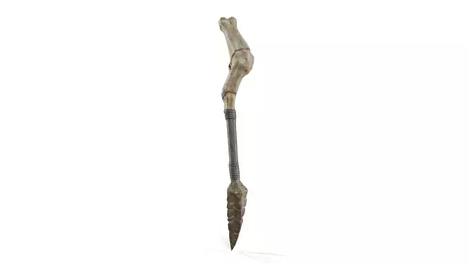 Ancient Fantasy Bone Staff