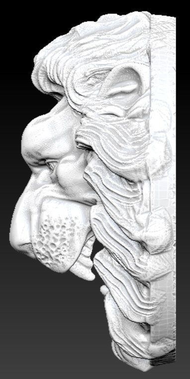 lion gerb 3D print model_3