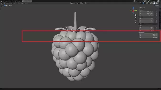 Raspberry 3D print model 3