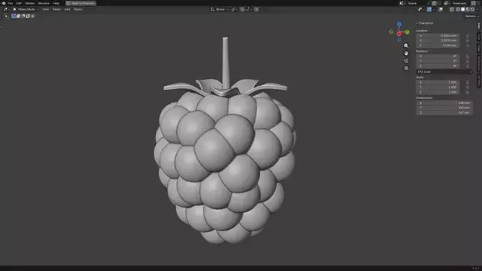 Raspberry 3D print model 5