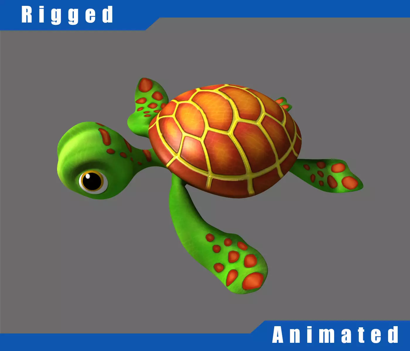 Cartoon Turtle Rigged 3D model_0