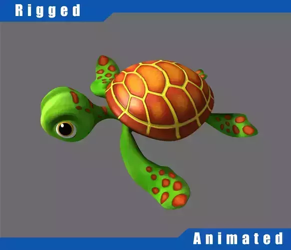 Cartoon Turtle Rigged 3D model