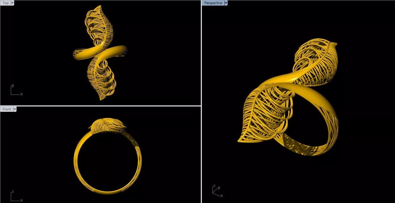 Turkish Ring 3D print model