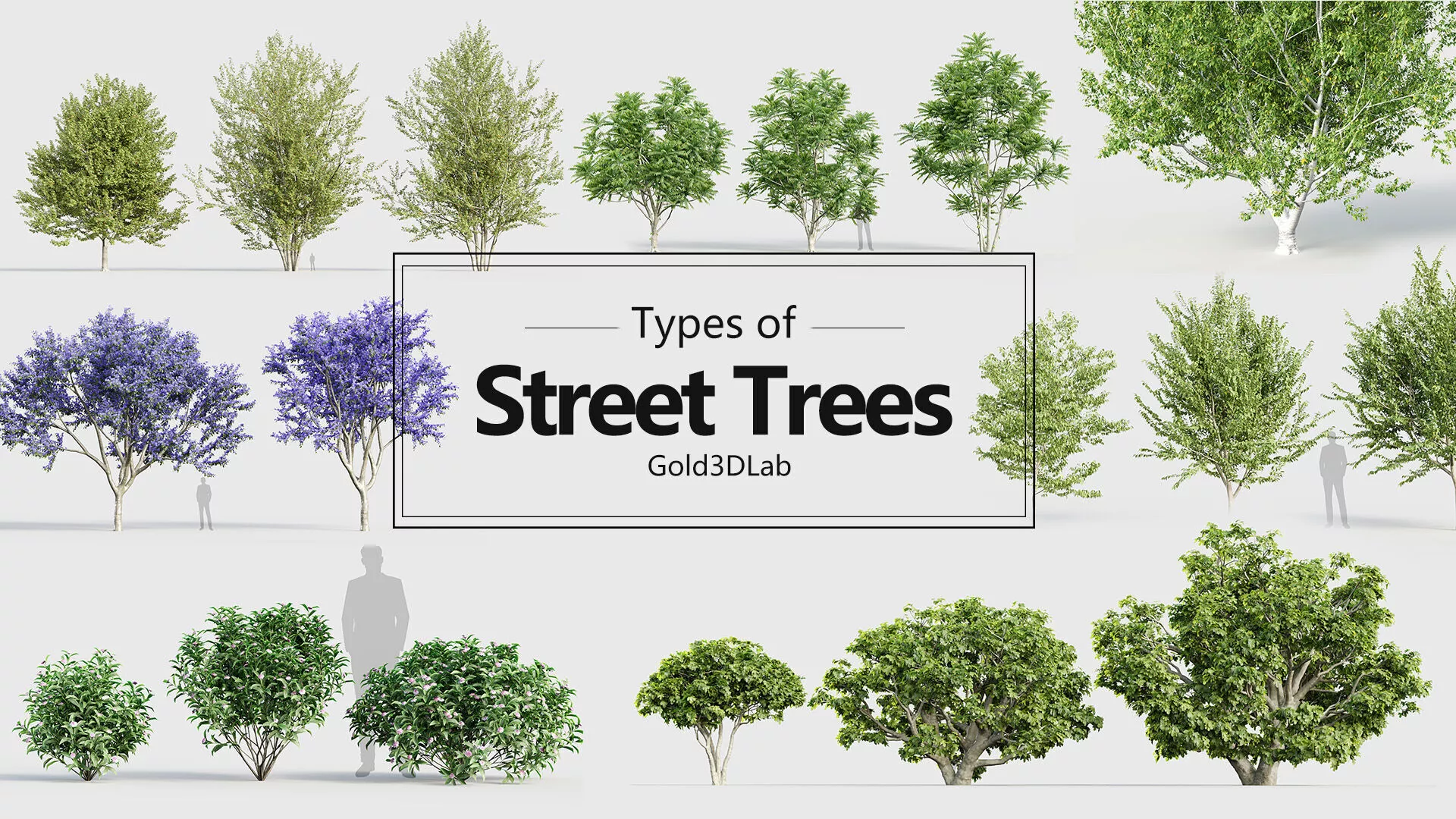Street Trees Collection 3D model