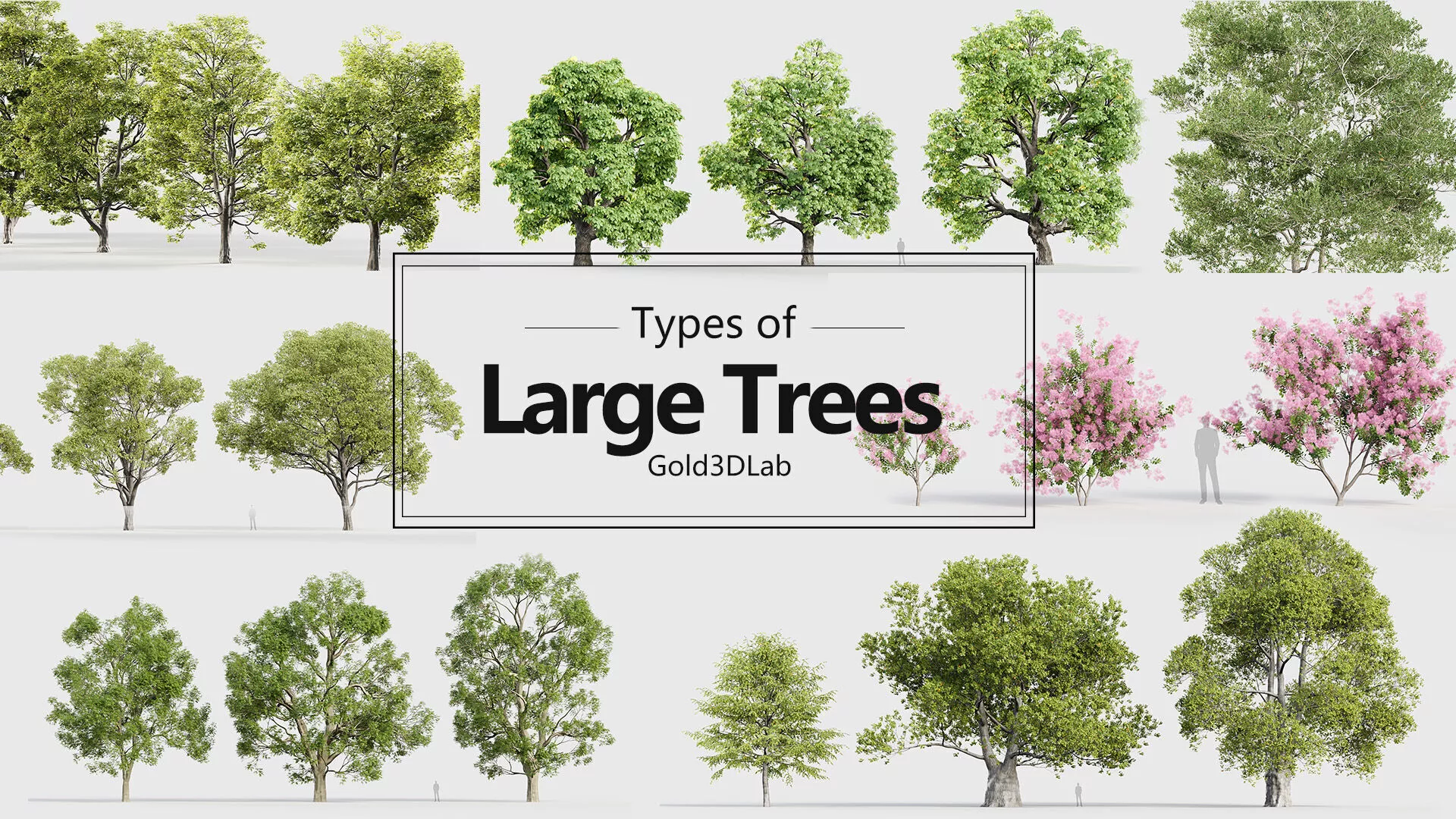 Large Trees Collection V1 3D model