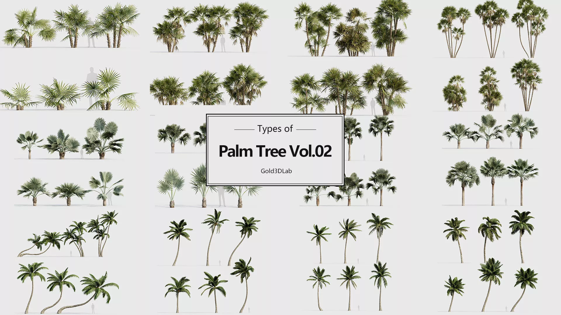Palm Tree Pack 02 3D model