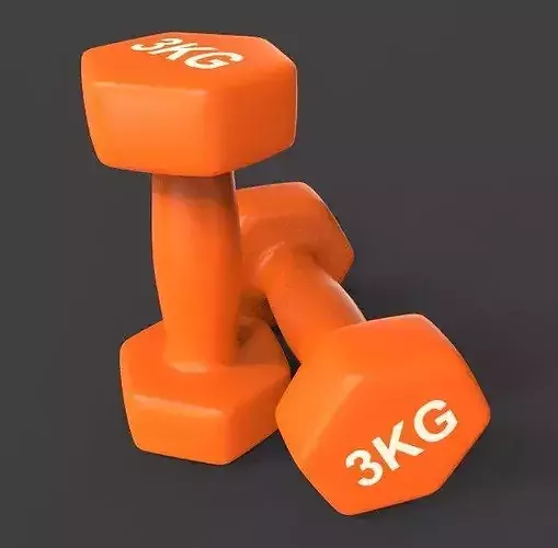 The Dumbbells 3D model