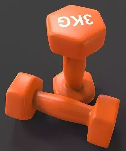 The Dumbbells 3D model 4