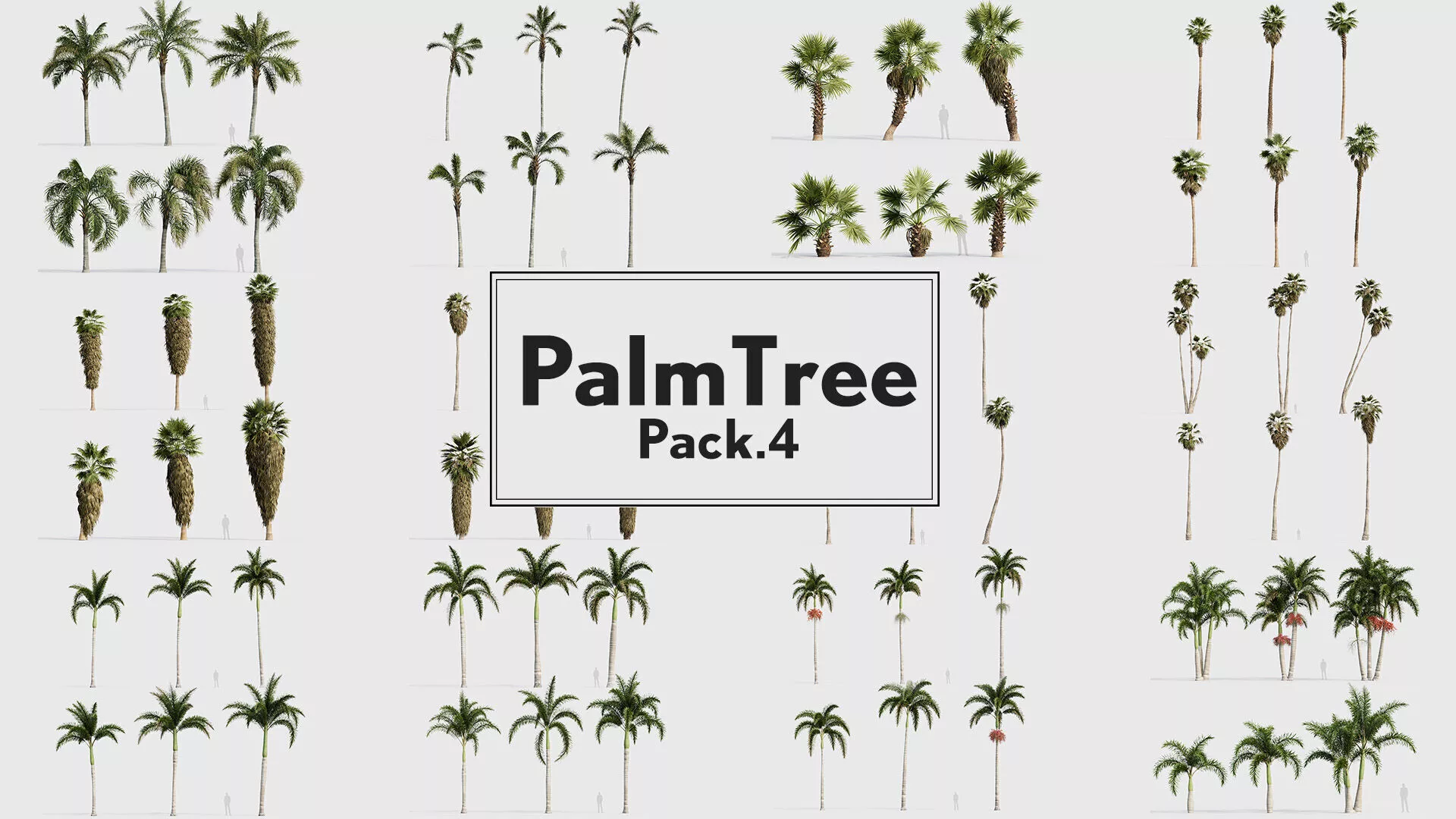Palm Tree Pack 04 3D model