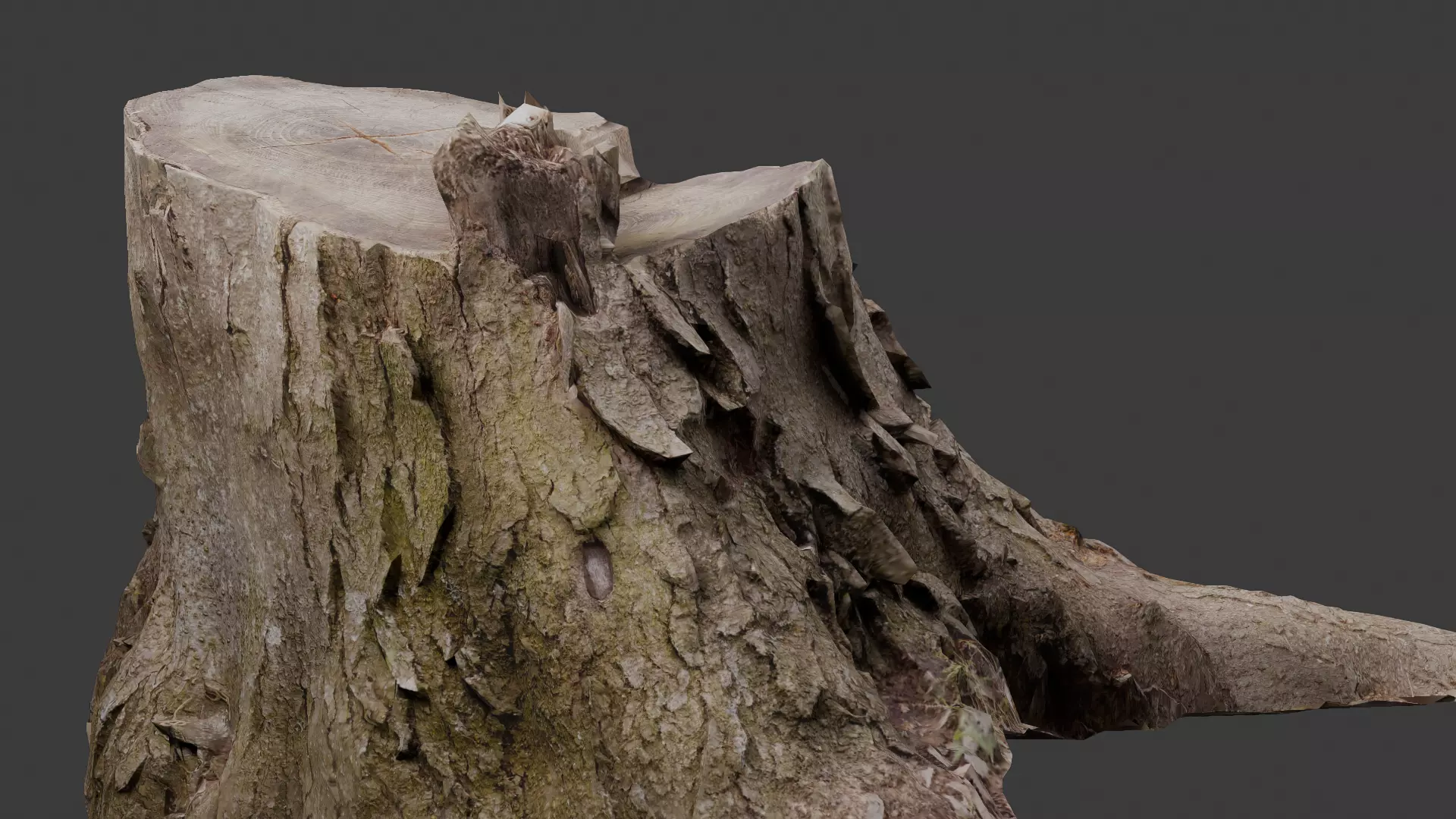 High-quality forest stump Free low-poly 3D model