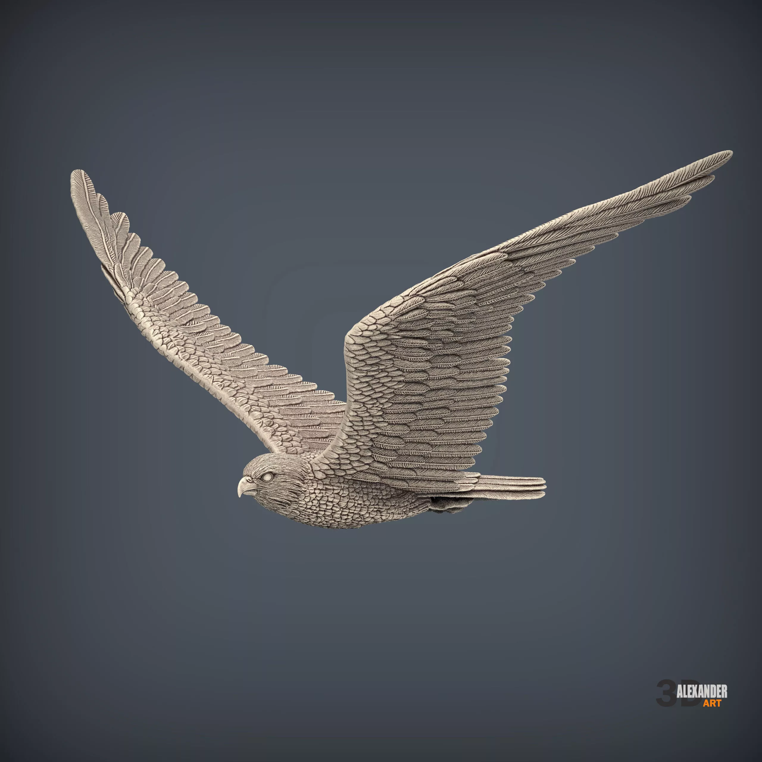 Peregrine Falcon 3D print model