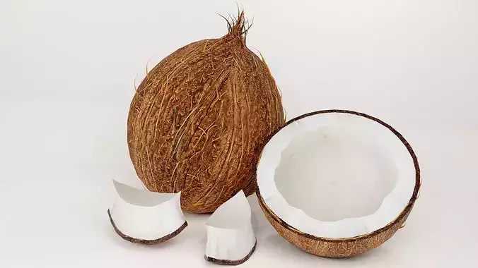 Realistic Coconut Collection 3D Models Pack PBR Tropical Set Low-poly 3D model 7
