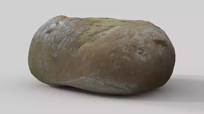 Bread Roll 01  3D model 7