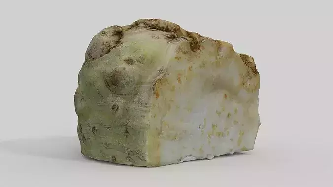 Root Celery  3D model 3