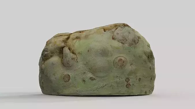 Root Celery  3D model 6